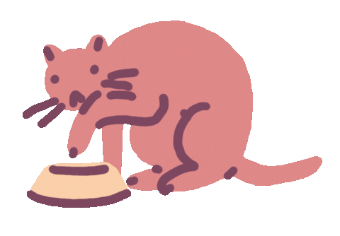 Cat Water Sticker by Sara Maese