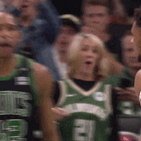 Nba Playoffs Sport GIF by NBC Sports Boston