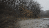Car Ride GIF by The Running Man