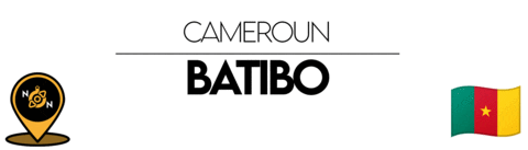 Nn Cameroon Sticker by NoirNomads