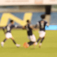 Team Celebrations GIF by MillwallFC