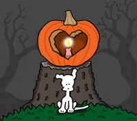 Trick Or Treat Halloween GIF by Chippy the Dog