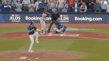 Blue Jays Canada GIF by Toronto Blue Jays