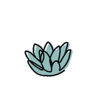 Growing Mid Century Sticker by Succulent Studios