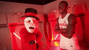 Letsgopeay GIF by Austin Peay Athletics