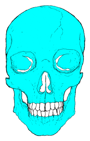 skull STICKER
