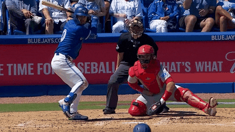 Home Run Baseball GIF by Toronto Blue Jays