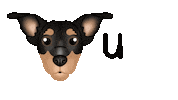 Cute Dog Sticker by zoopeez