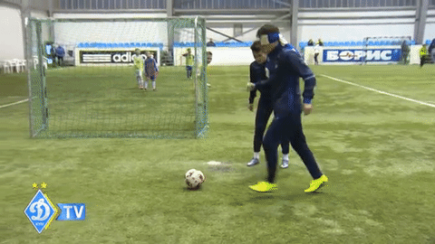 GIF by #FCDK
