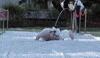 behind the scenes GIF by 5 Seconds of Summer