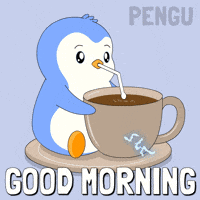 Good Morning GIF by Pudgy Penguins