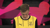 Look Up Borussia Dortmund GIF by Bundesliga