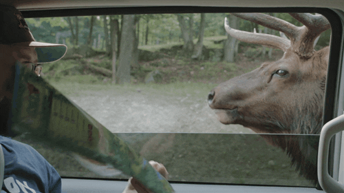 canada GIF by CBC