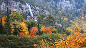 Fall Autumn GIF by Jerology