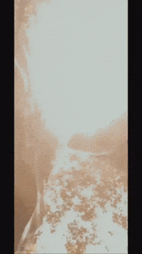 Alenoz GIF