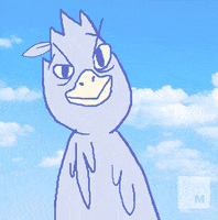 bird pecking GIF by Mashable