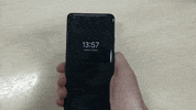 GIF by The Telegraph