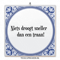 Wijsheid Spreuk GIF by Tegelspreuken.nl