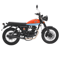 Neo Retro Sticker by Mash Motorcycles