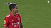 No Way Slbgif GIF by Sport Lisboa e Benfica