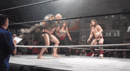 GIF by Freakshow Wrestling