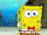 season 5 GIF by SpongeBob SquarePants