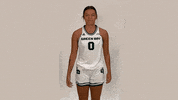 Basketball Uwgb GIF by Green Bay Phoenix