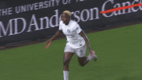 Celebrate Womens Soccer GIF by National Women's Soccer League