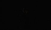 Robert Pattinson Action GIF by The Batman