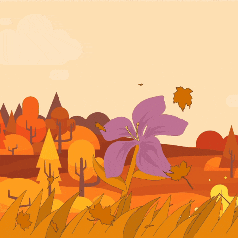 Flower Colors GIF