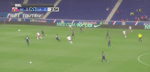 france GIF by NYRB II
