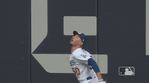 Jumping Major League Baseball GIF by MLB