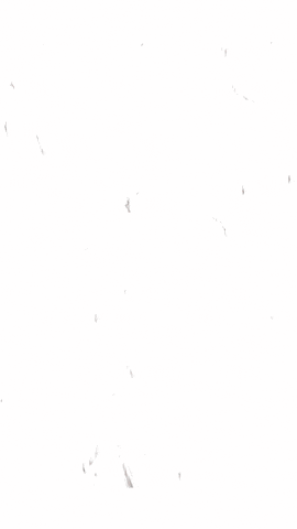 Confused Ko GIF
