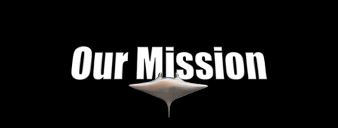 Timur_nr1 giphygifmaker GIF