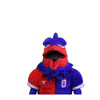 Serie B Paranaense Sticker by Paraná Clube