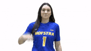 Basketball GIF by Hofstra Pride