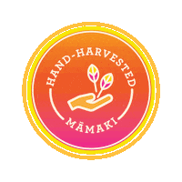 Vegan Hand Sticker by Shaka Tea