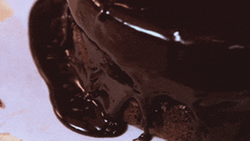 Cafe_Bar_Wunderland giphyupload GIF