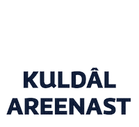 Yle Yleareena Sticker by Yleisradio