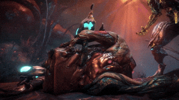 Nidus