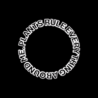 Flowers Love GIF by Plant Economy