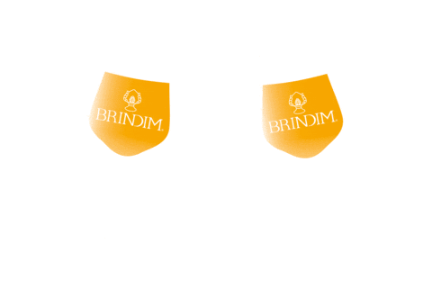 Cheers Drinks Sticker by Brindim
