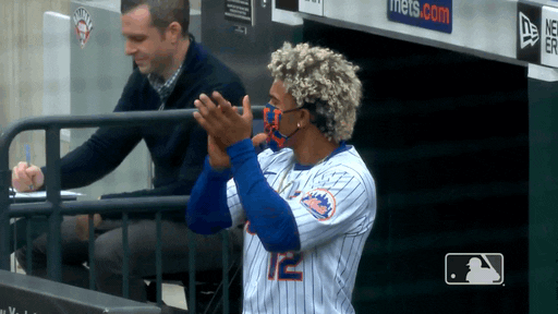 Happy Ny Mets GIF by New York Mets