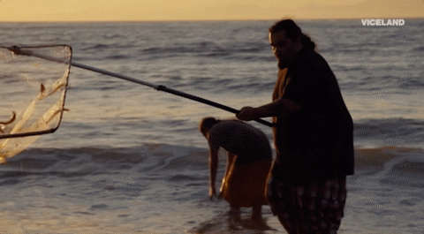 viceland GIF by RISE