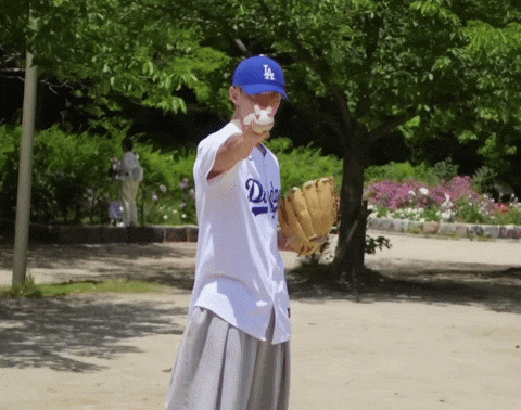 Dk 세븐틴 GIF