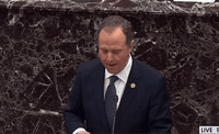 Adam Schiff GIF