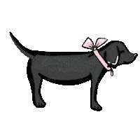Happy Black Dog Sticker by Halie Jost Illustration