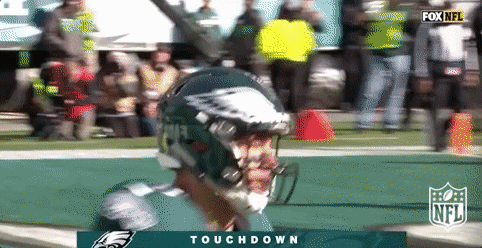 philadelphia eagles football GIF by NFL