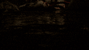 Germany Horror GIF by Wired Productions