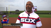 Waving White Sox GIF by MLB